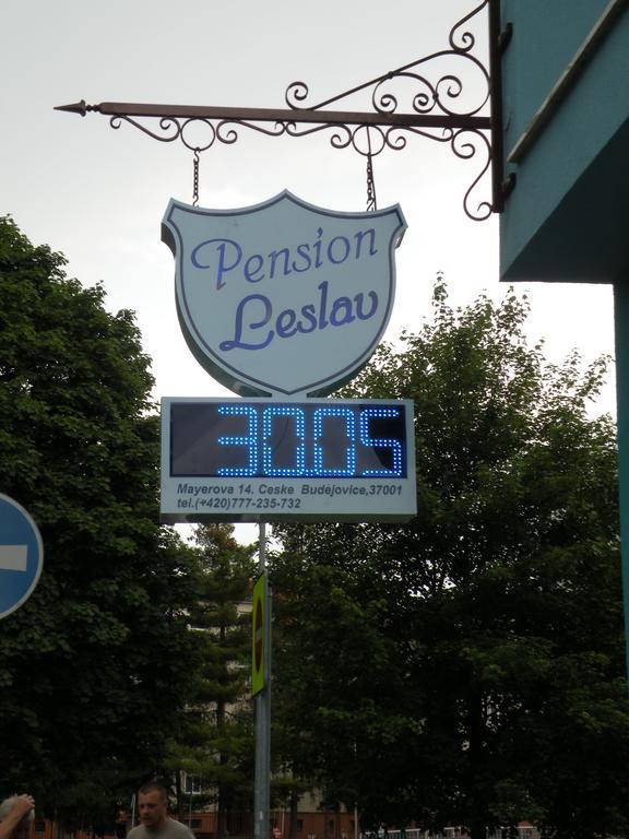 Penzion- Leslav Ceske Budejovice Exterior foto